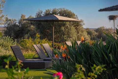 Garden, Garden view, sunbed