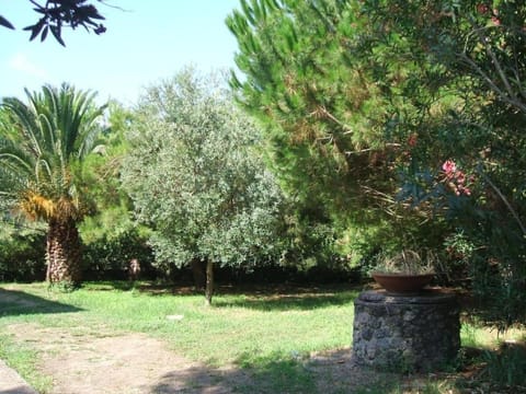 rustikales Bauernhaus nur einen Steinwurf vom Meer entfernt Apartment in Giannella