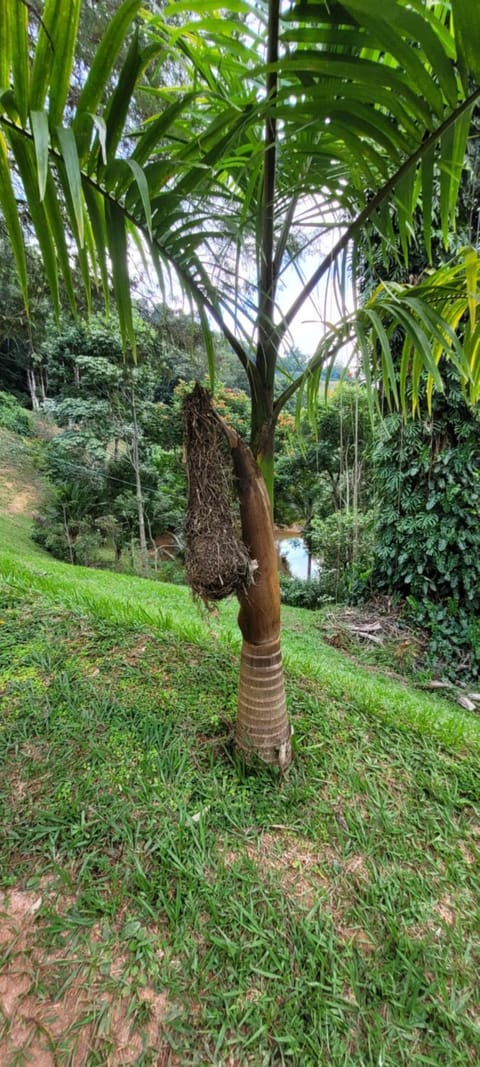 Chalé Vale dos Lagos Chalet in State of Espírito Santo, Brazil