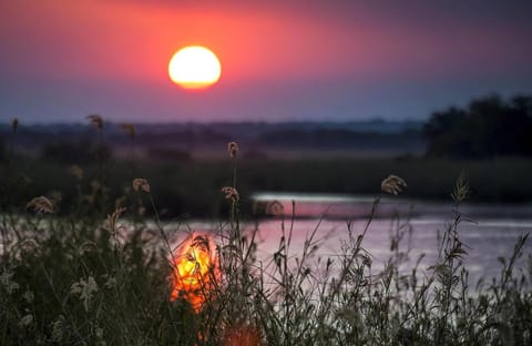 Natural landscape, Sunset