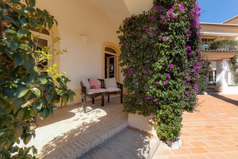 Patio, Garden, Garden view