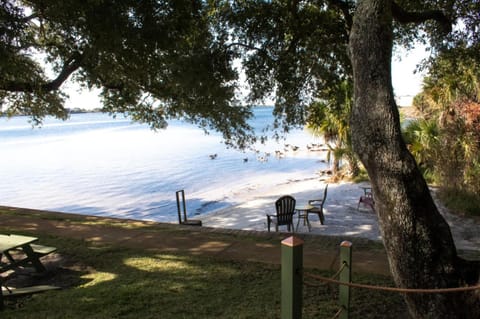 Garden, Beach