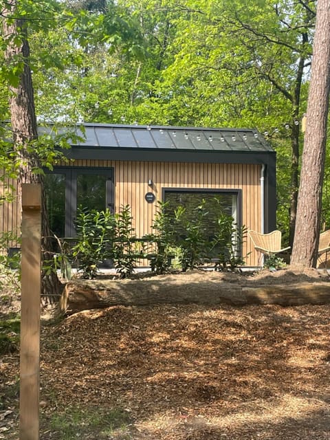 Verde Tiny Lodge tinyhouse Chalet in Biddinghuizen