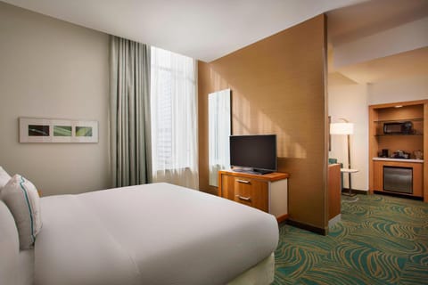 SpringHill Suites by Marriott Houston Downtown/Convention Center Hotel in Houston