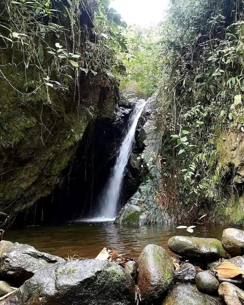 Nearby landmark, Natural landscape