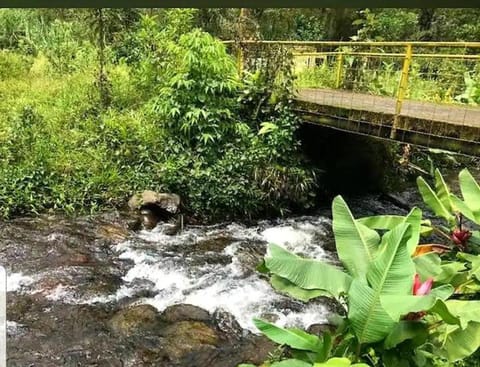 Natural landscape, River view