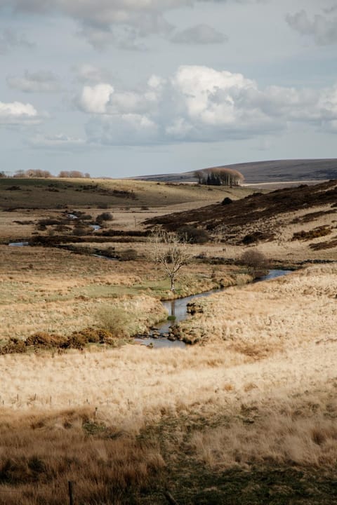 Dartmoor Inn Merrivale Hotel in West Devon District