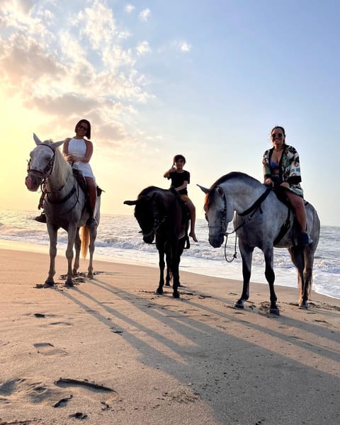 Natural landscape, Horse-riding, Beach