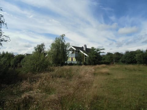 Ferienhaus in Neuringe mit Whirlpool, Grill und Terrasse House in Drenthe (province)