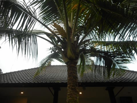 Manik Villa Besakih Villa in Selat