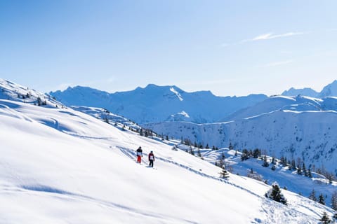 Day, Natural landscape, Winter, Skiing