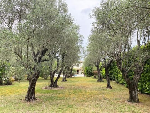 Maison avec piscine sur les hauteurs de Valbonne Villa in Valbonne