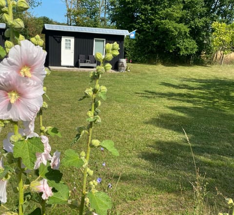 Stuga Romakloster Nature lodge in Gotland County, Sweden