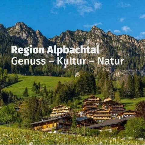 Tirol Juwel Apartment in Alpbach