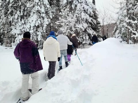 Chalet Boréal, SPA, LAC & SKI House in Saint-Donat