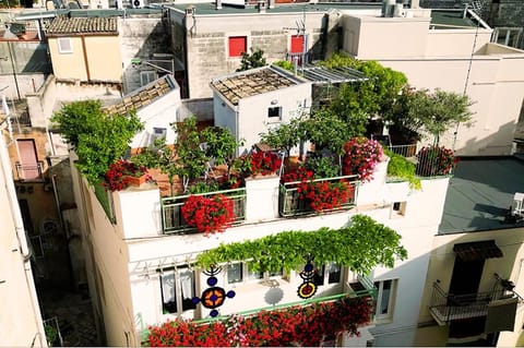 Property building, Spring, Day, Garden, Garden view