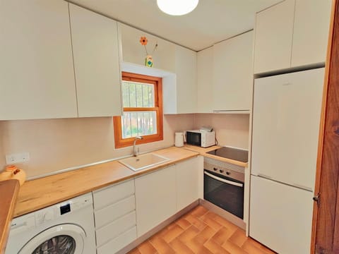 Kitchen or kitchenette, oven, pet friendly, stove, washing machine, kitchen