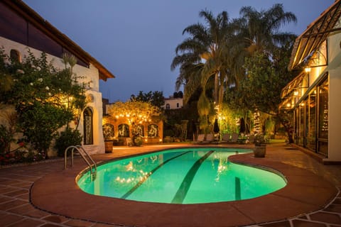 Garden, Garden view, Swimming pool