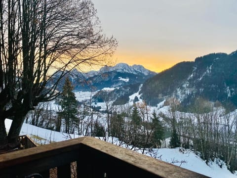 Heidi Chalet Chalet in Rossinière