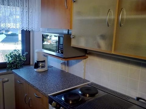 Ferienwohnung mit Gartenterrasse in der Nähe vieler Wanderwege und Ausflugsziele Apartment in Thuringia, Germany