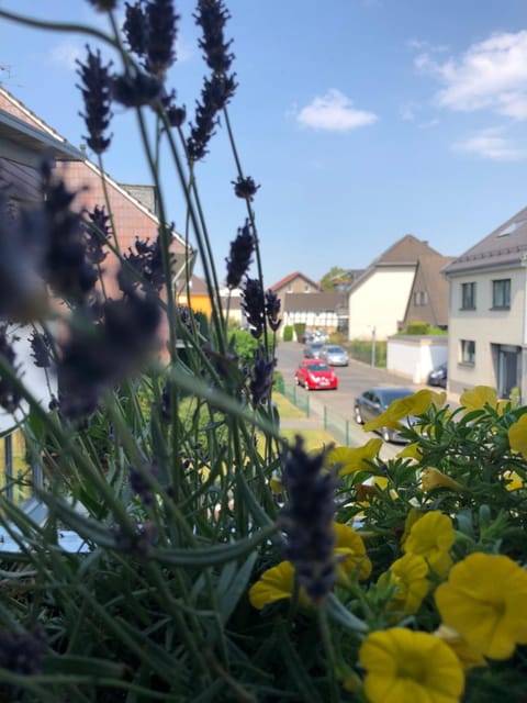 Balcony/Terrace, Street view, Quiet street view