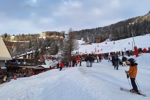 Luxury apartment near Les Arcs 1600 Appartement in La Plagne-Tarentaise