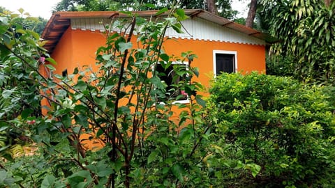 Casa Anez Apartment in Cobano