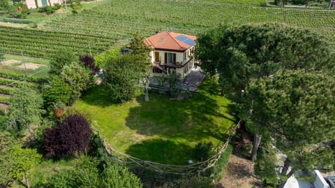 Bird's eye view, Garden