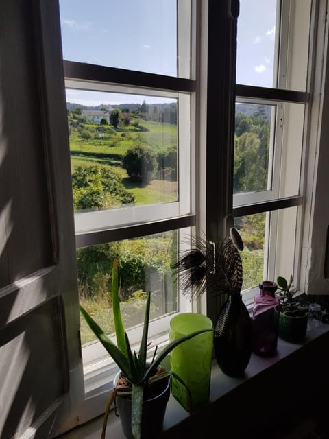 Living room, Garden view