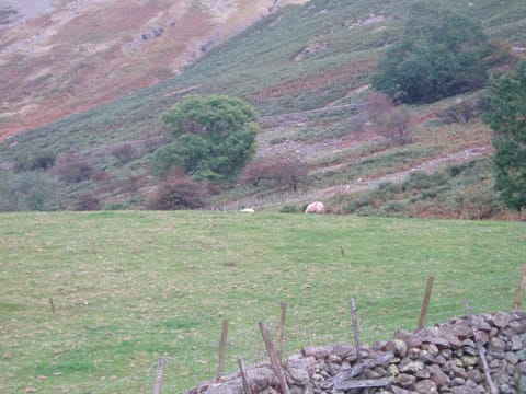 Fisher-gill Camping Barn Hostel in Allerdale District