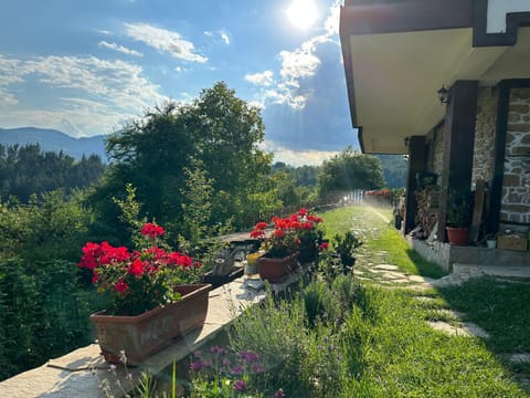 Property building, Day, Garden, Garden view