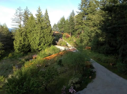 Armand Heights Bed and Breakfast in Salt Spring Island