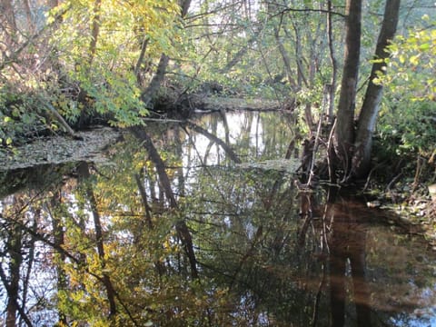 grosse, hundfreundliche Ferienwohnung in der Nähe des Flusses Apartment in Medebach