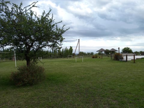 Day, Natural landscape, Garden view