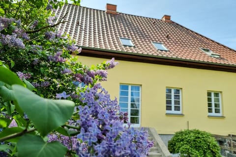 Property building, Garden, Garden view