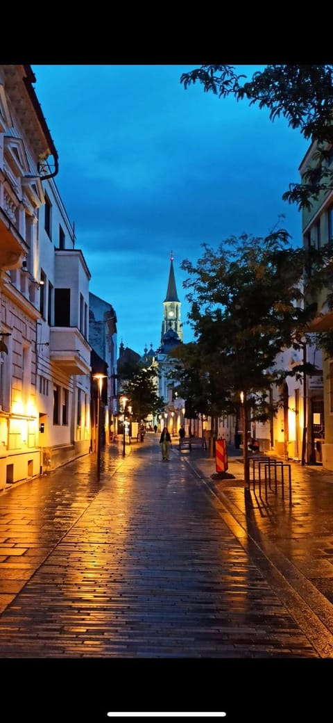 Night, City view, Street view