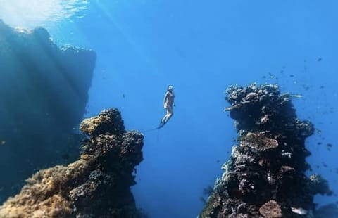 Pondok Shindu Guest House Bed and Breakfast in Bali