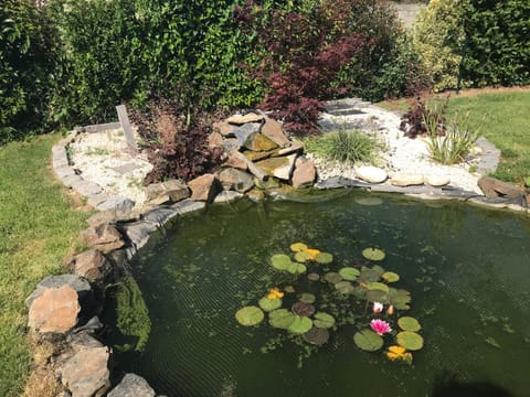 Garden, Garden view