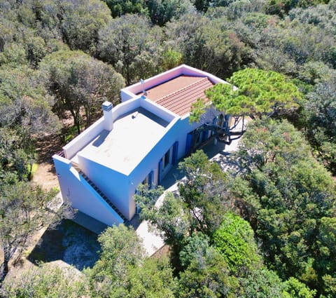 Natural landscape, Bird's eye view, Summer, View (from property/room), Balcony/Terrace, Inner courtyard view