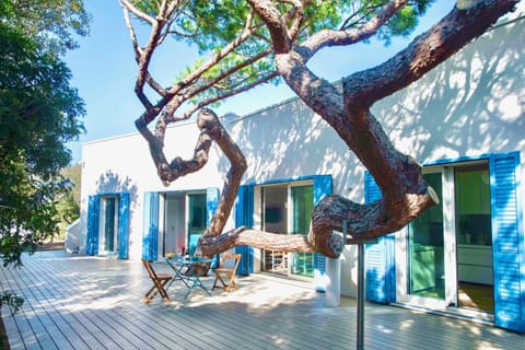 Property building, Natural landscape, Summer, Dining area