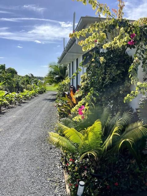 Avaiki Nui Villa Villa in Avarua District