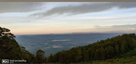 Kodai Good vibes Villa in Kodaikanal