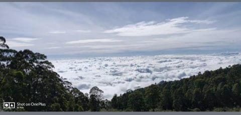 Kodai Good vibes Villa in Kodaikanal