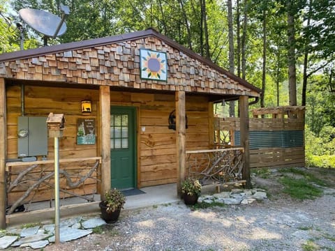 Poppa Bear Cabin at Gr Smoky Mtn Park! 3mi to town House in Swain County