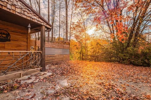 Poppa Bear Cabin at Gr Smoky Mtn Park! 3mi to town House in Swain County