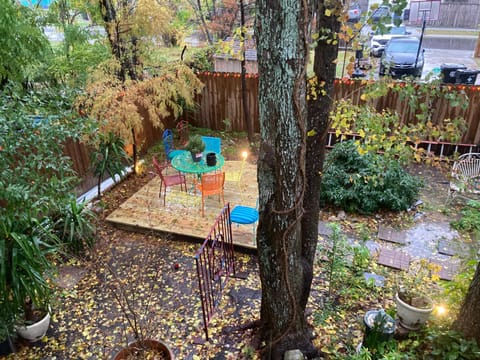 Green garden view Apartment in New Orleans