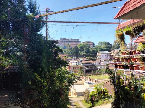 Property building, Day, City view, Garden view