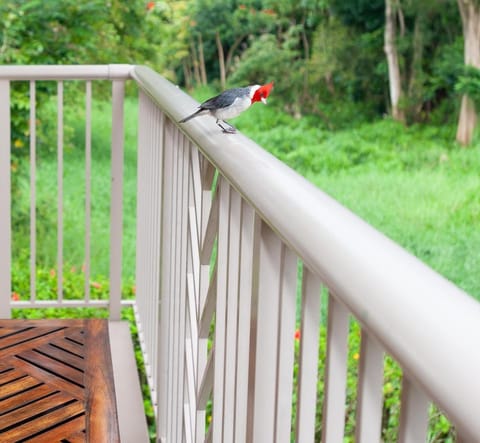 Natural landscape, Balcony/Terrace, Garden view