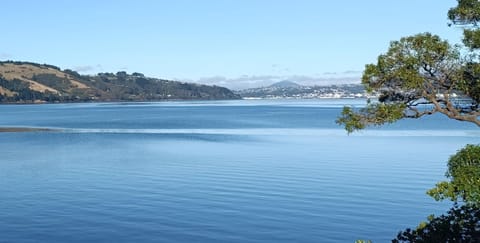 New luxury waterfront accommodation Apartment in Dunedin