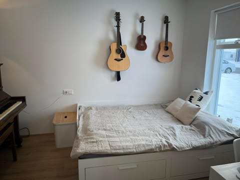 Modern apartment Apartment in Akureyri